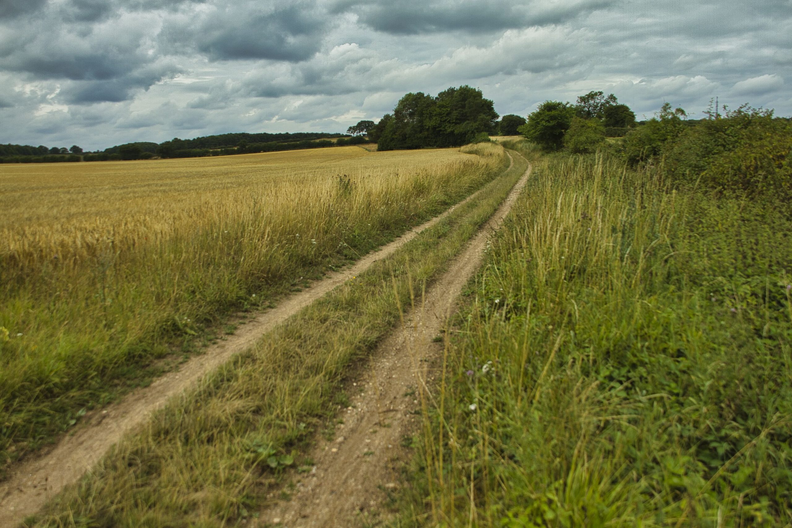 Pedal Norfolk Untamed - TPR EVENTS